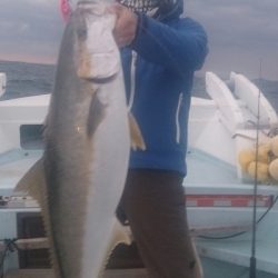 旭星釣りセンター 釣果