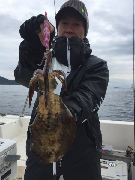 マタウマリンサービス 釣果