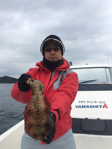 マタウマリンサービス 釣果