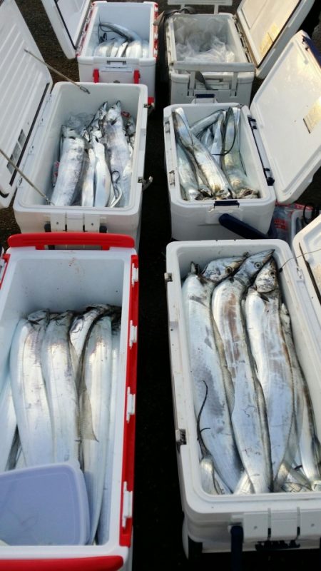 オーフリー 釣果