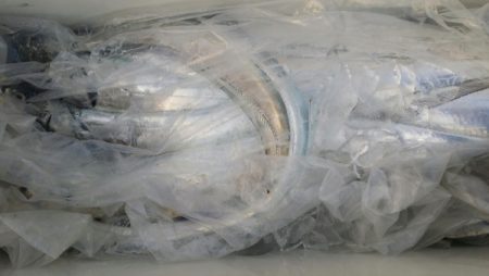 オーフリー 釣果