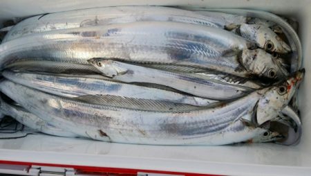 オーフリー 釣果