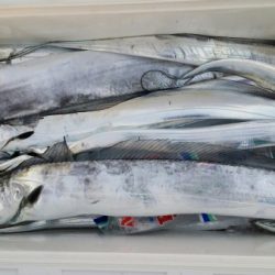 オーフリー 釣果