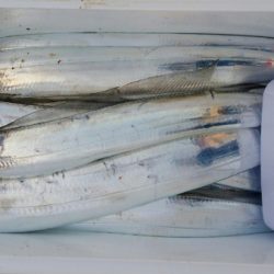 オーフリー 釣果