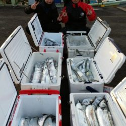 オーフリー 釣果