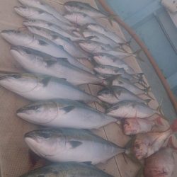 旭星釣りセンター 釣果