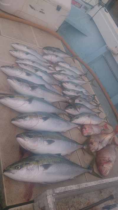 旭星釣りセンター 釣果