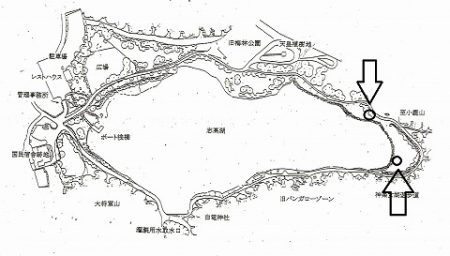 志高湖フィッシング 釣果