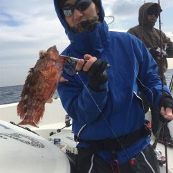 マタウマリンサービス 釣果