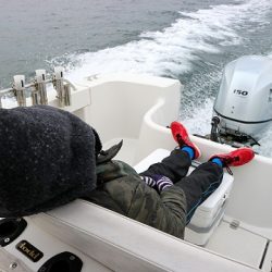 フルコンタクト 釣果