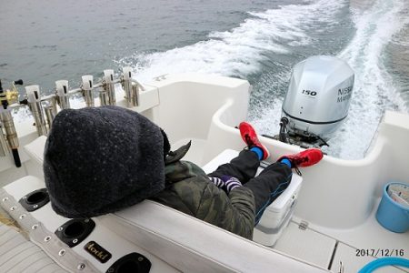 フルコンタクト 釣果