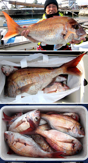 来温丸（らいおんまる） 釣果