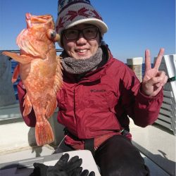 マタウマリンサービス 釣果