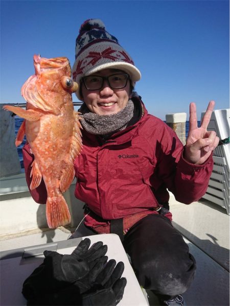 マタウマリンサービス 釣果