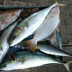 明神釣船 釣果