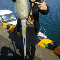 マタウマリンサービス 釣果