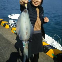 マタウマリンサービス 釣果