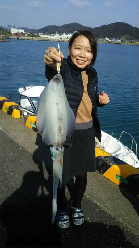 マタウマリンサービス 釣果