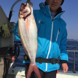 マタウマリンサービス 釣果