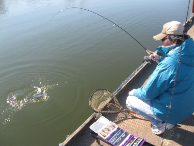 吉羽園 釣果