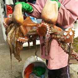 モンロー号 釣果