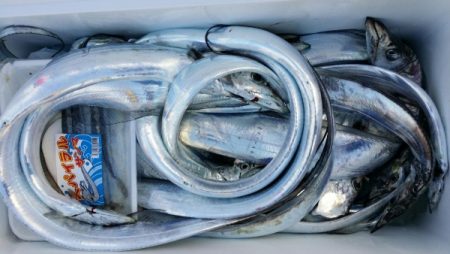 オーフリー 釣果