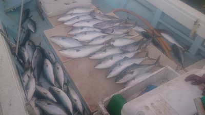 旭星釣りセンター 釣果