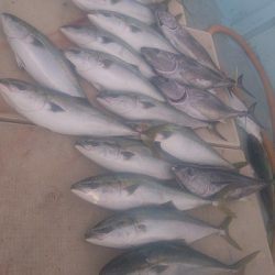 旭星釣りセンター 釣果