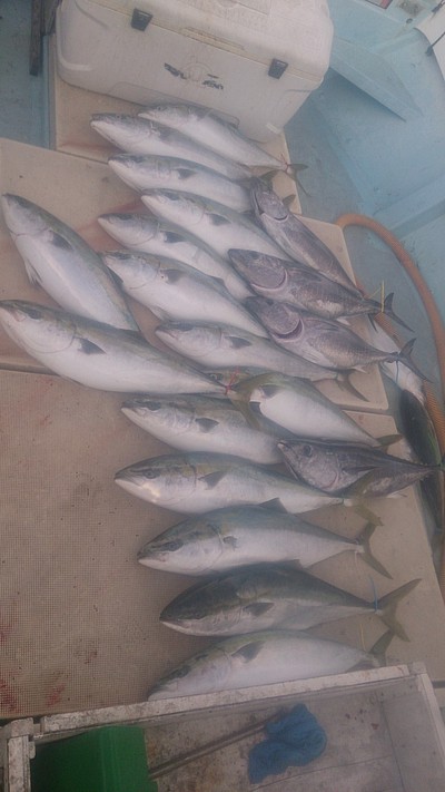 旭星釣りセンター 釣果