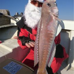 マタウマリンサービス 釣果