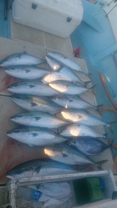 旭星釣りセンター 釣果