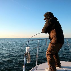 フルコンタクト 釣果