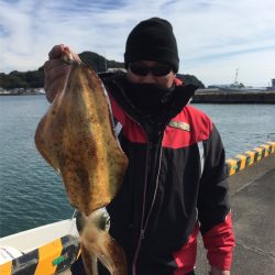 マタウマリンサービス 釣果