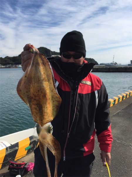 マタウマリンサービス 釣果