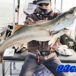 オーシャンマスター 釣果