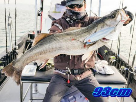 オーシャンマスター 釣果