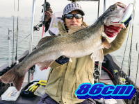 オーシャンマスター 釣果