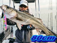 オーシャンマスター 釣果