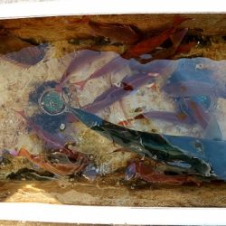 フルコンタクト 釣果