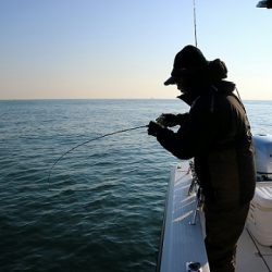 フルコンタクト 釣果