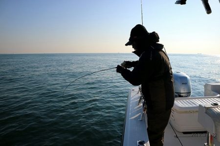 フルコンタクト 釣果