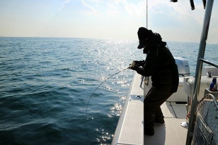 フルコンタクト 釣果