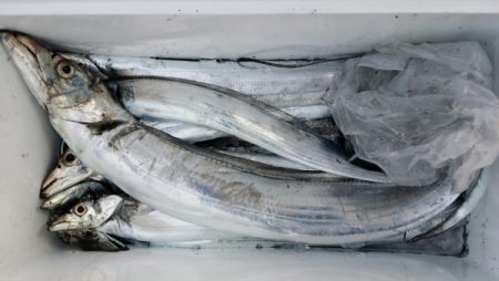 オーフリー 釣果