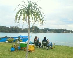 本部釣りイカダ 釣果