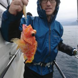 マタウマリンサービス 釣果