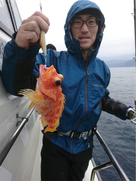 マタウマリンサービス 釣果