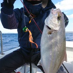 マタウマリンサービス 釣果