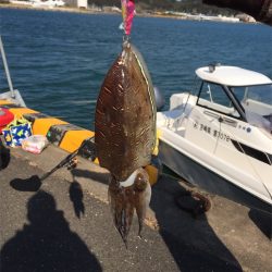 マタウマリンサービス 釣果