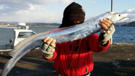 オーフリー 釣果