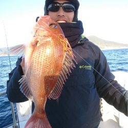 マタウマリンサービス 釣果